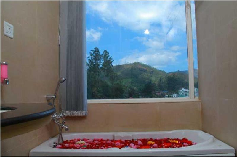 Grand Plaza 4* Munnar