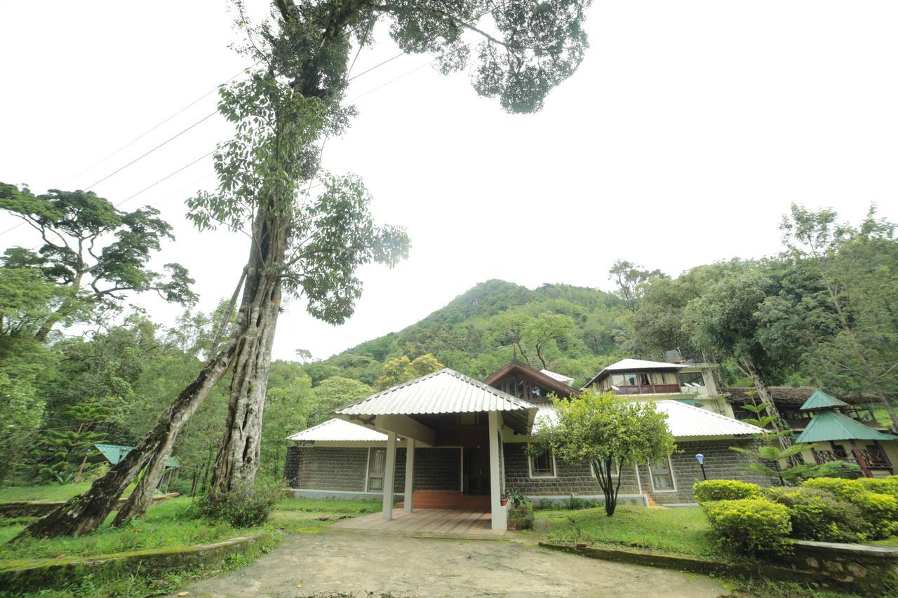 Deep Woods Munnar