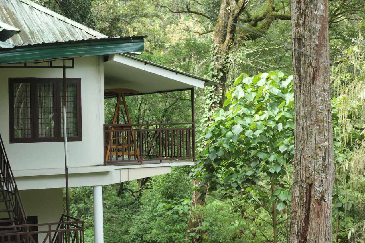 Deep Woods Resort Munnar