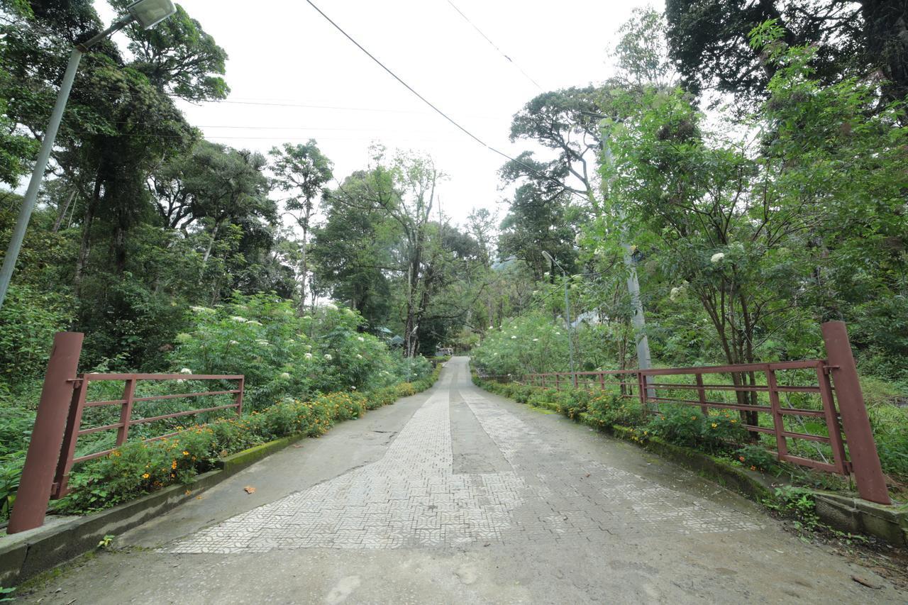 Deep Woods Resort 4*