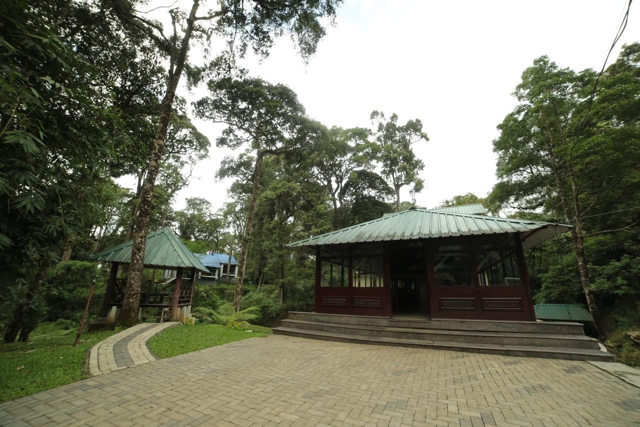 Deep Woods Resort