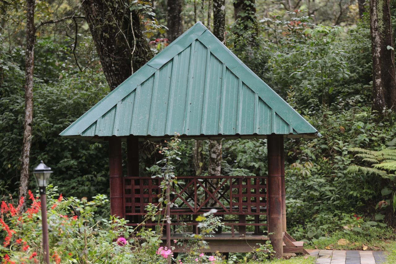 Deep Woods Resort 4*