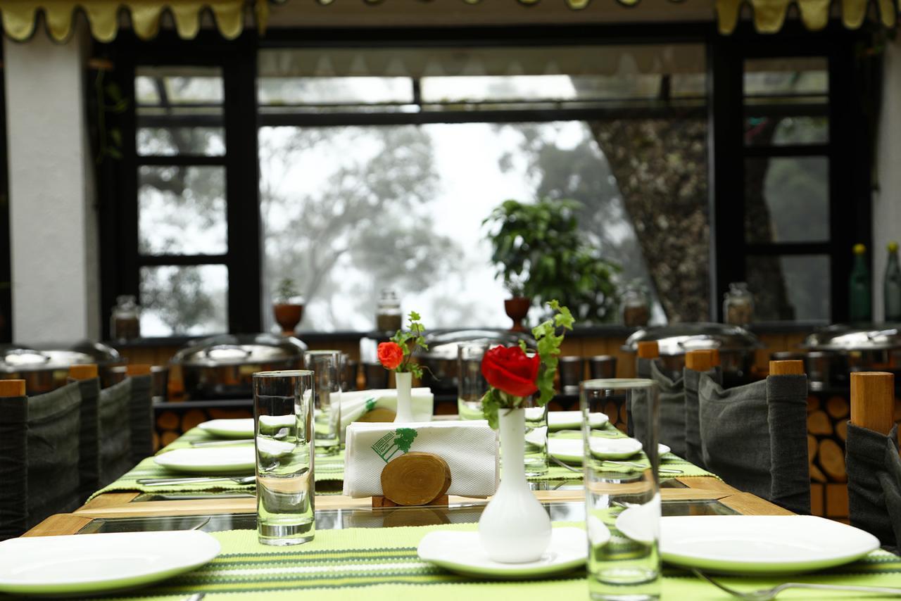 The Tall Trees Resort 4*