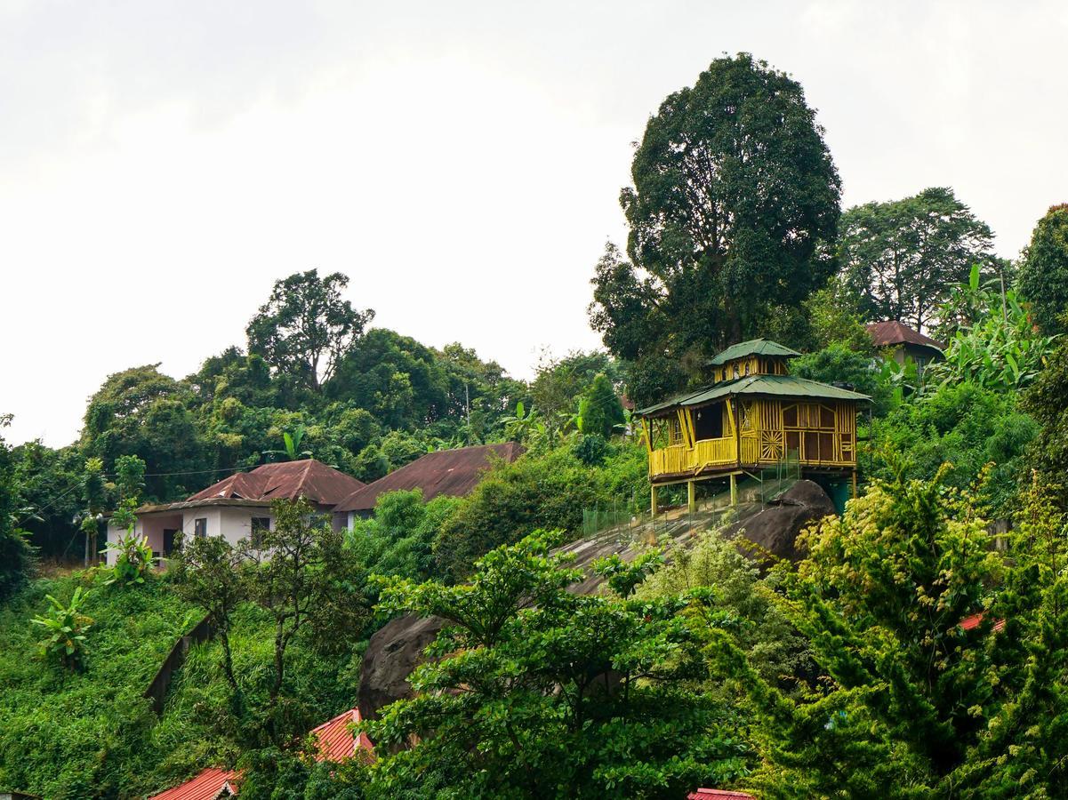 Hotel Oyo 10262 Rock 3*