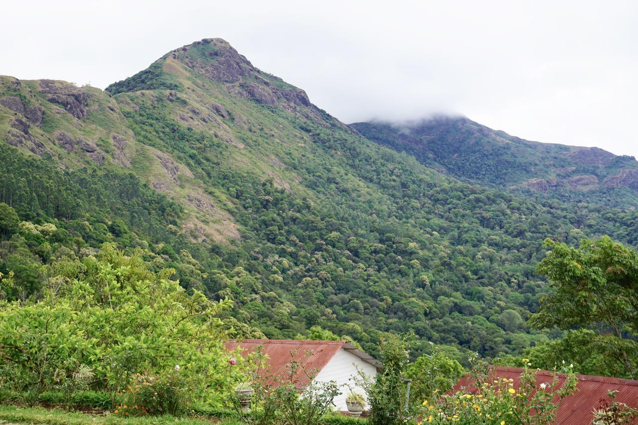Resort Windermere Estate Munnar