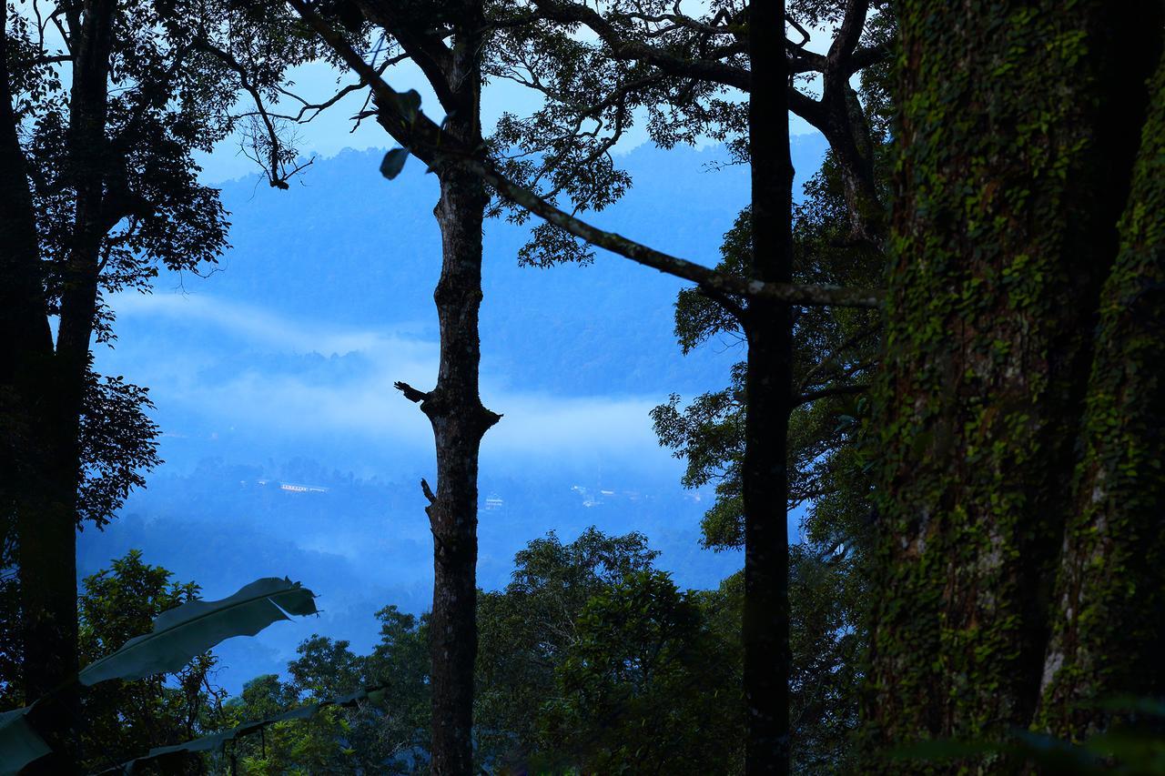 Madhumanthra - Resort Munnar