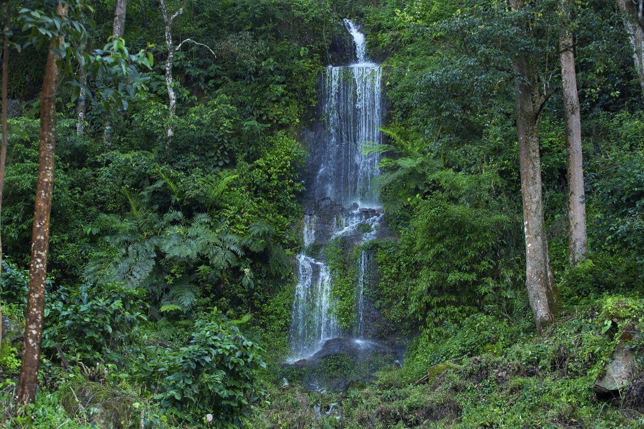 Madhumanthra - Resort Munnar