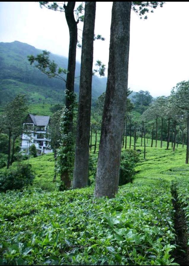 Gruenberg Tea Plantation Haus Munnar