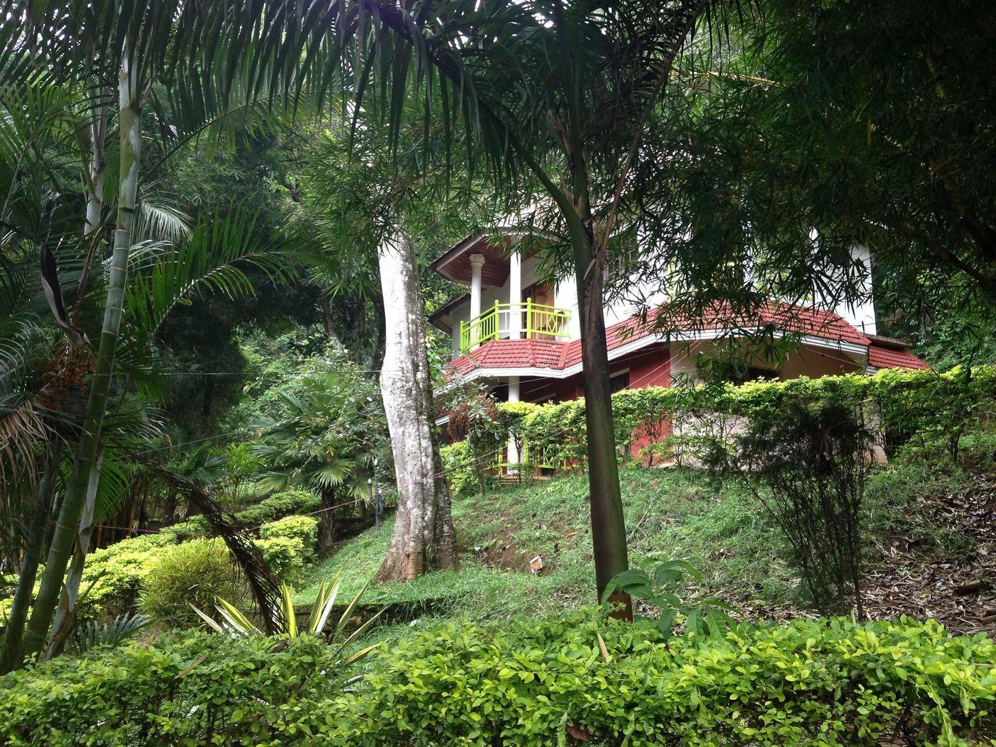 Spice Jungle