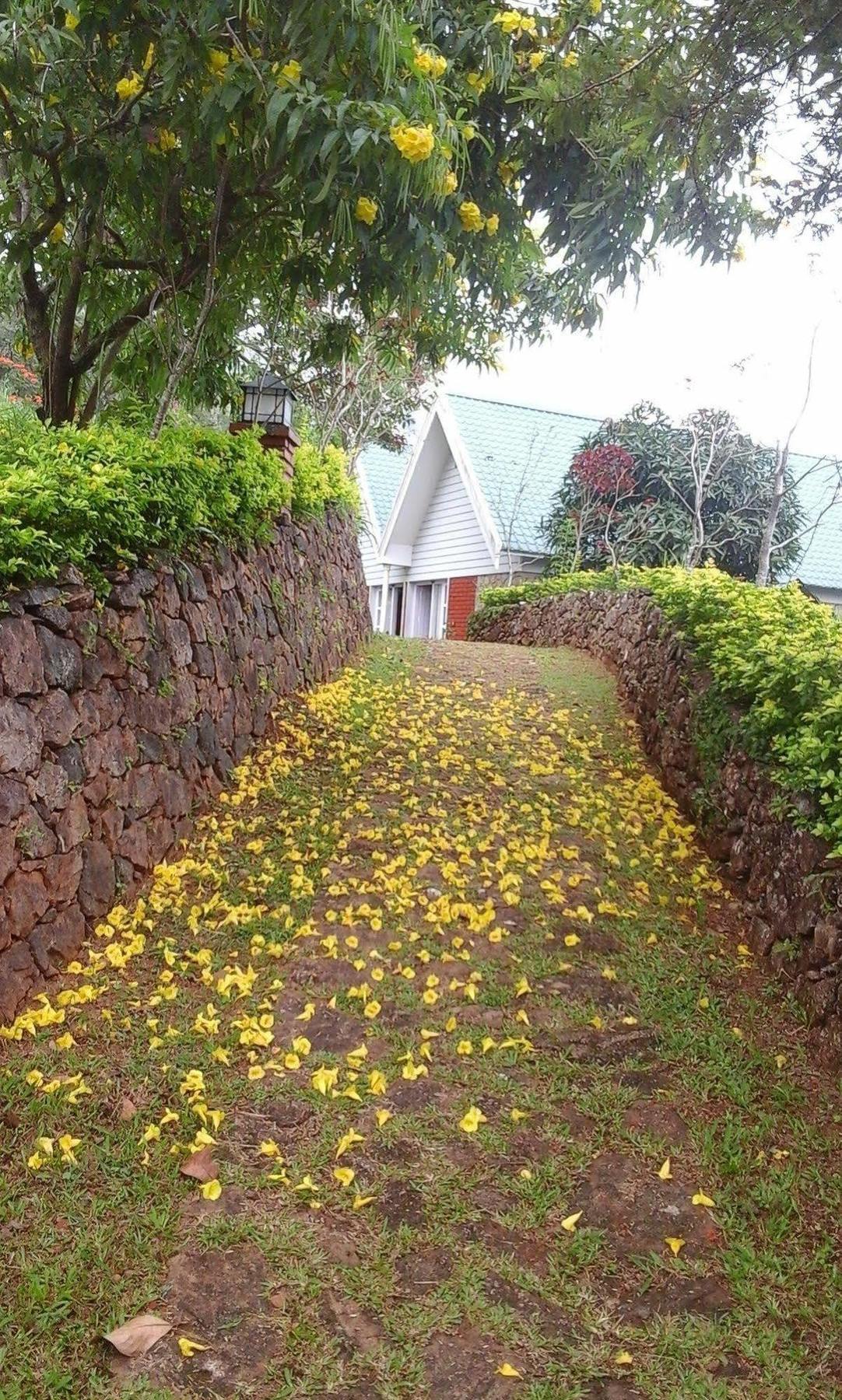 Ambady Estate 4* Munnar
