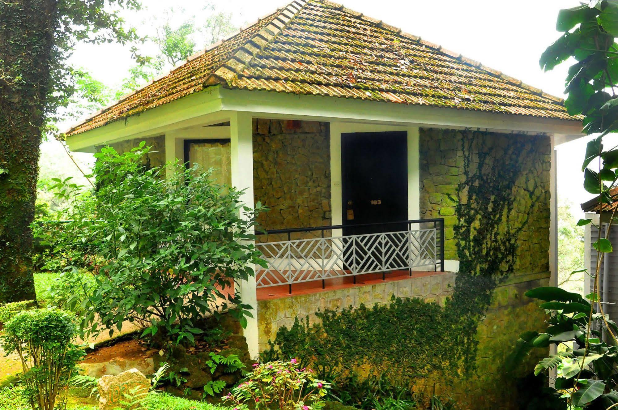 Resort The Tall Trees Munnar