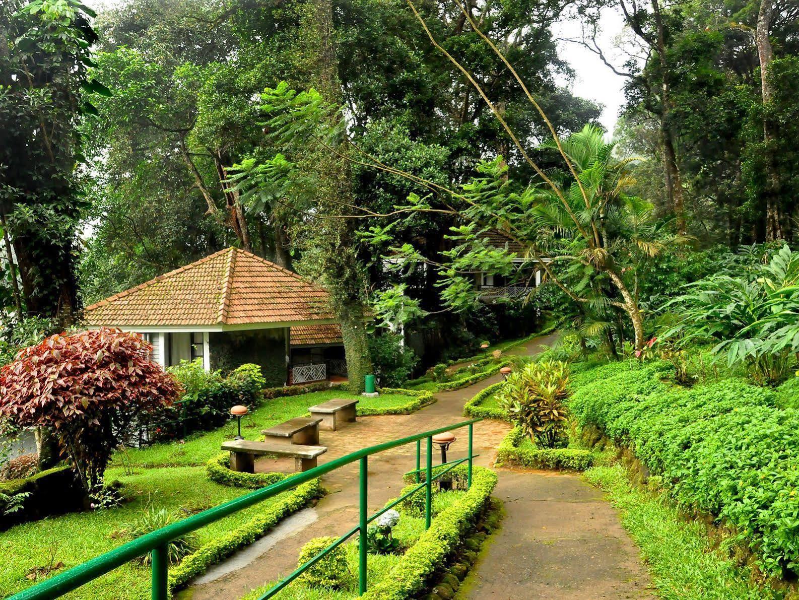 Resort The Tall Trees Munnar