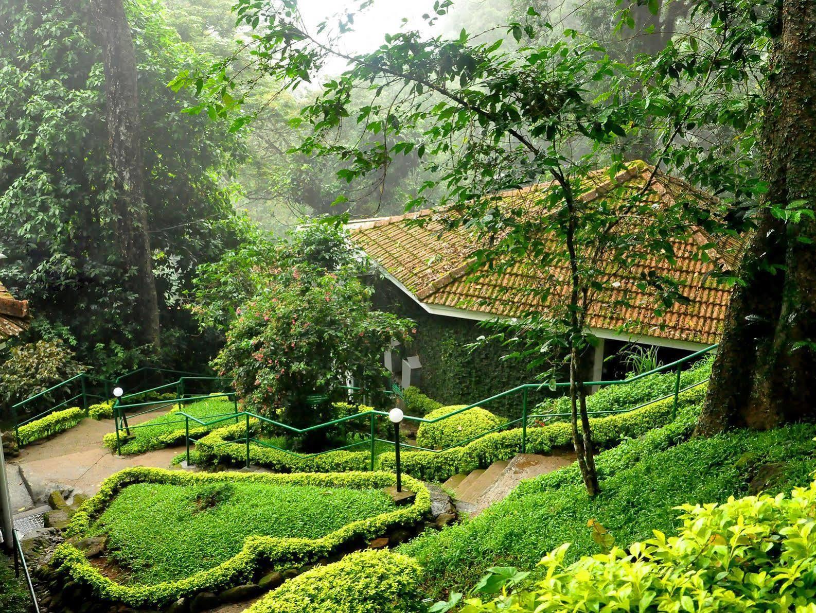 Resort The Tall Trees