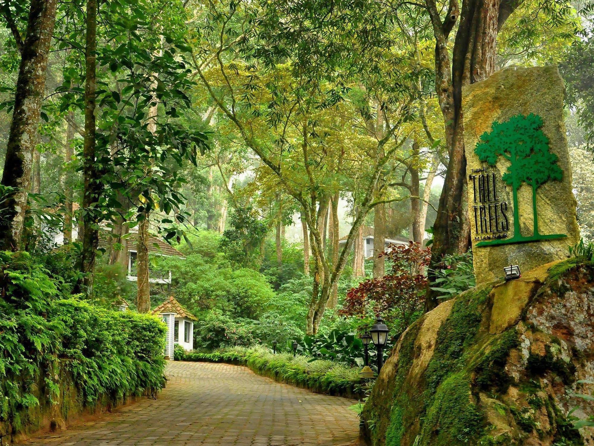 The Tall Trees 4* Munnar