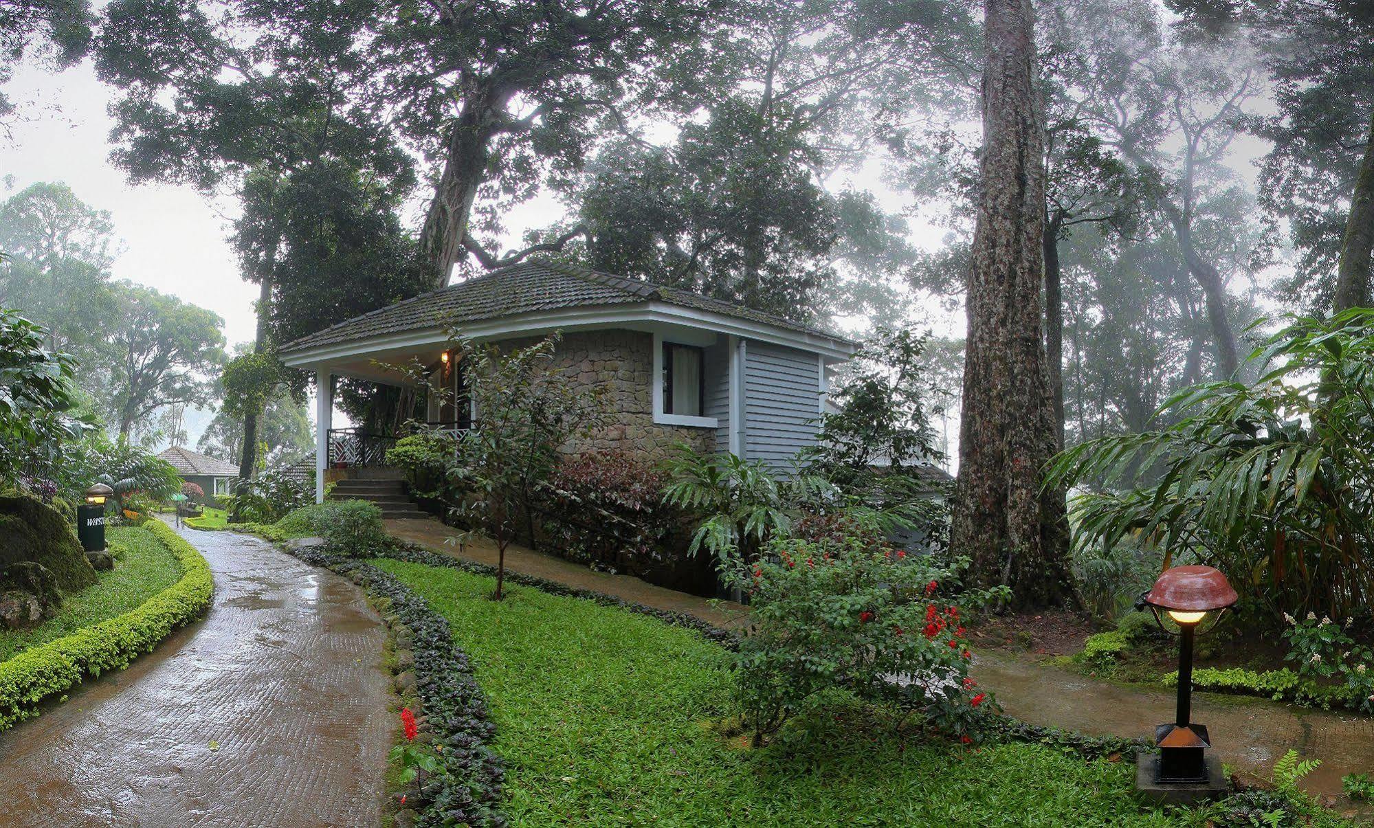 The Tall Trees Munnar