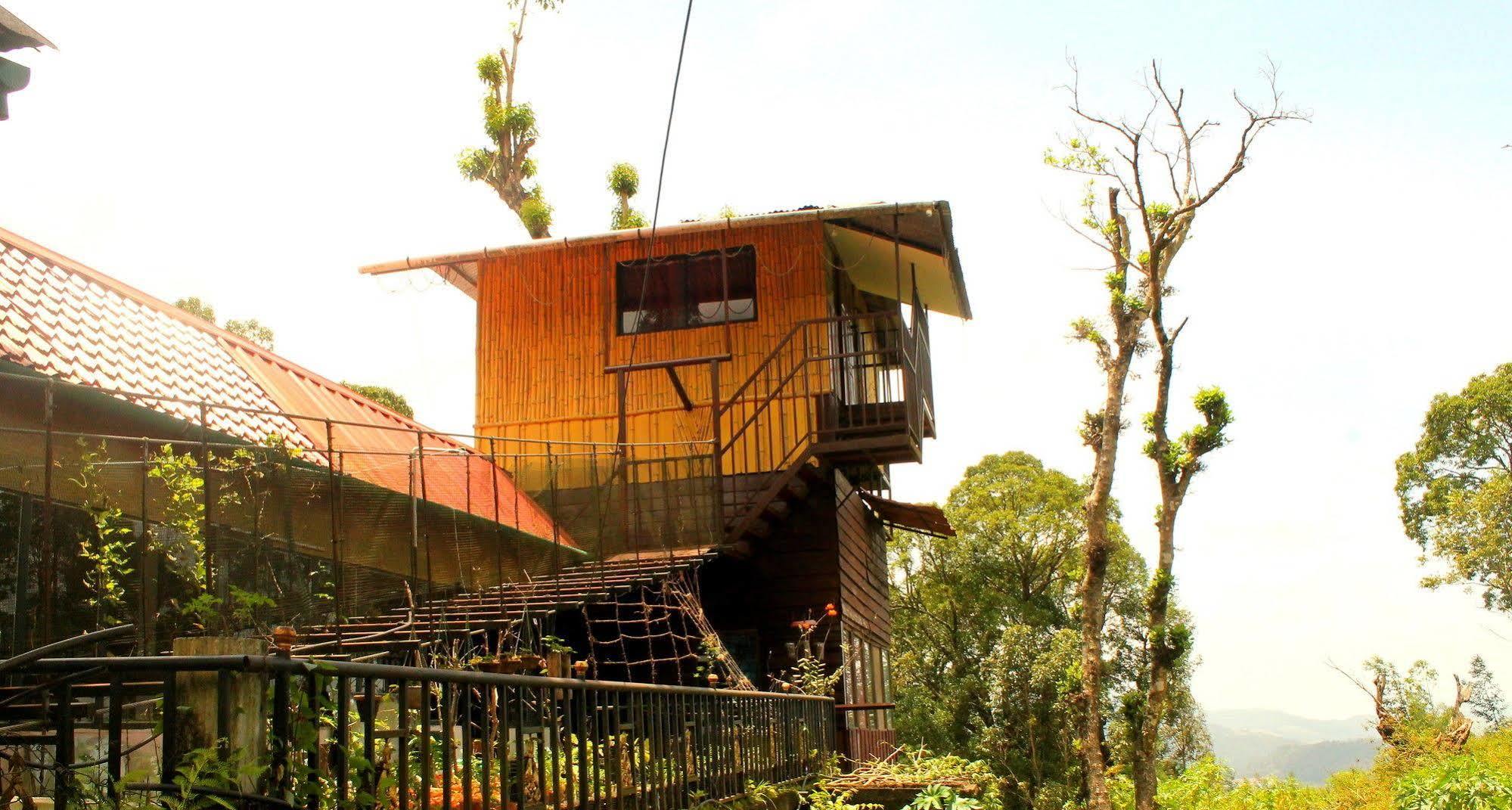 Villa Double Tree *