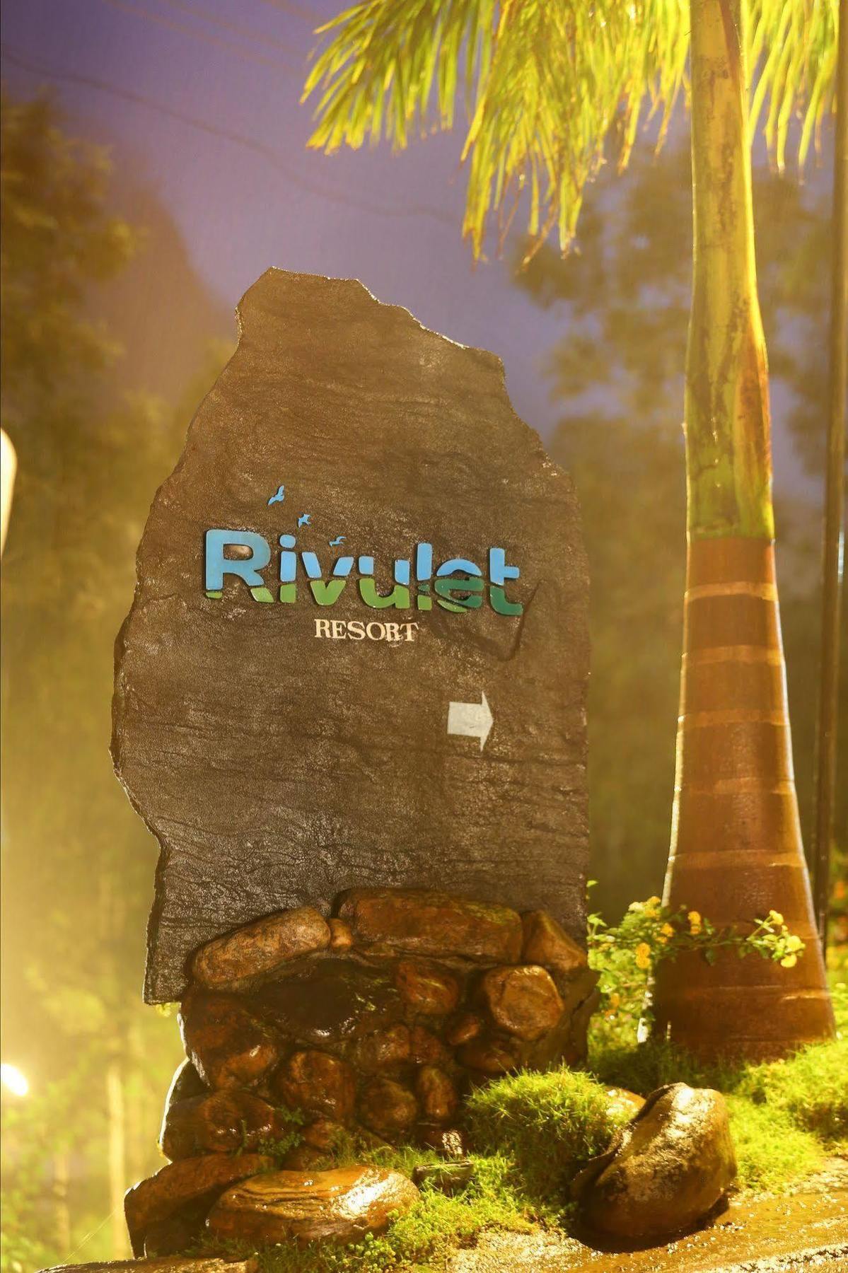 Rivulet Munnar