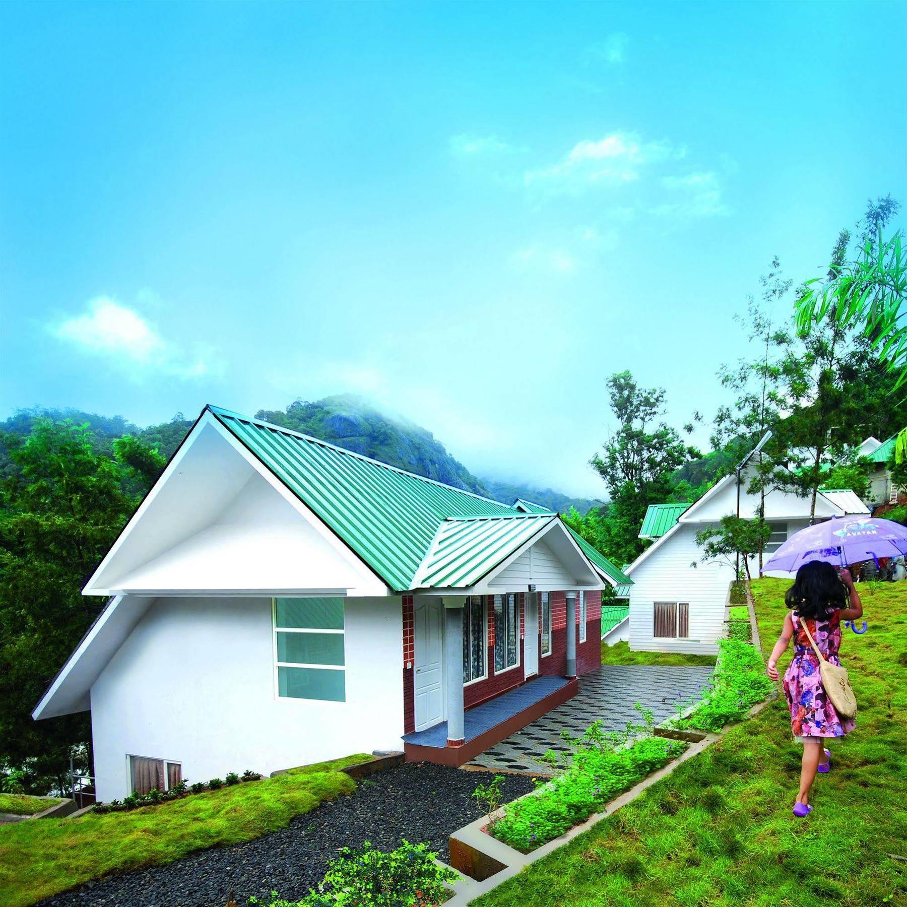 Rivulet Munnar