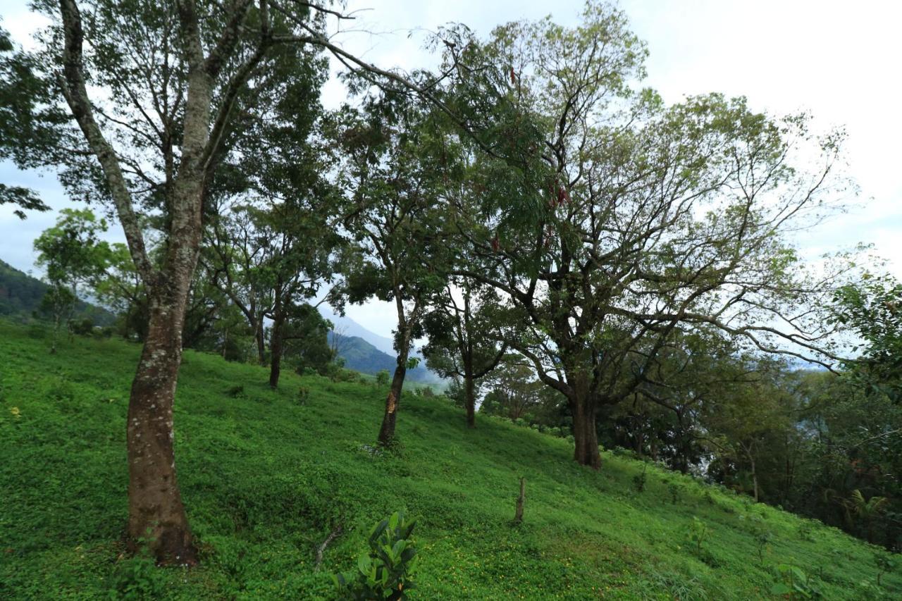 Ambady Estate Munnar