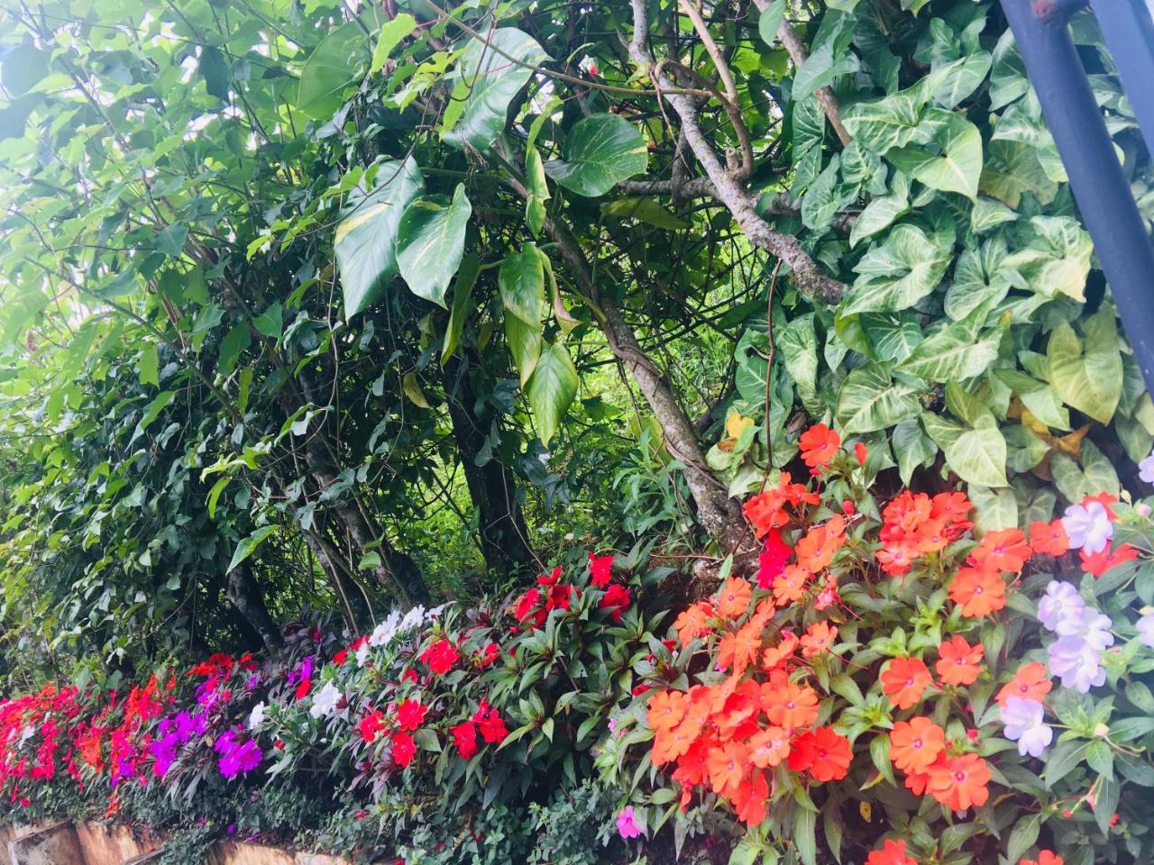 Lizmerrycasa Homestay *