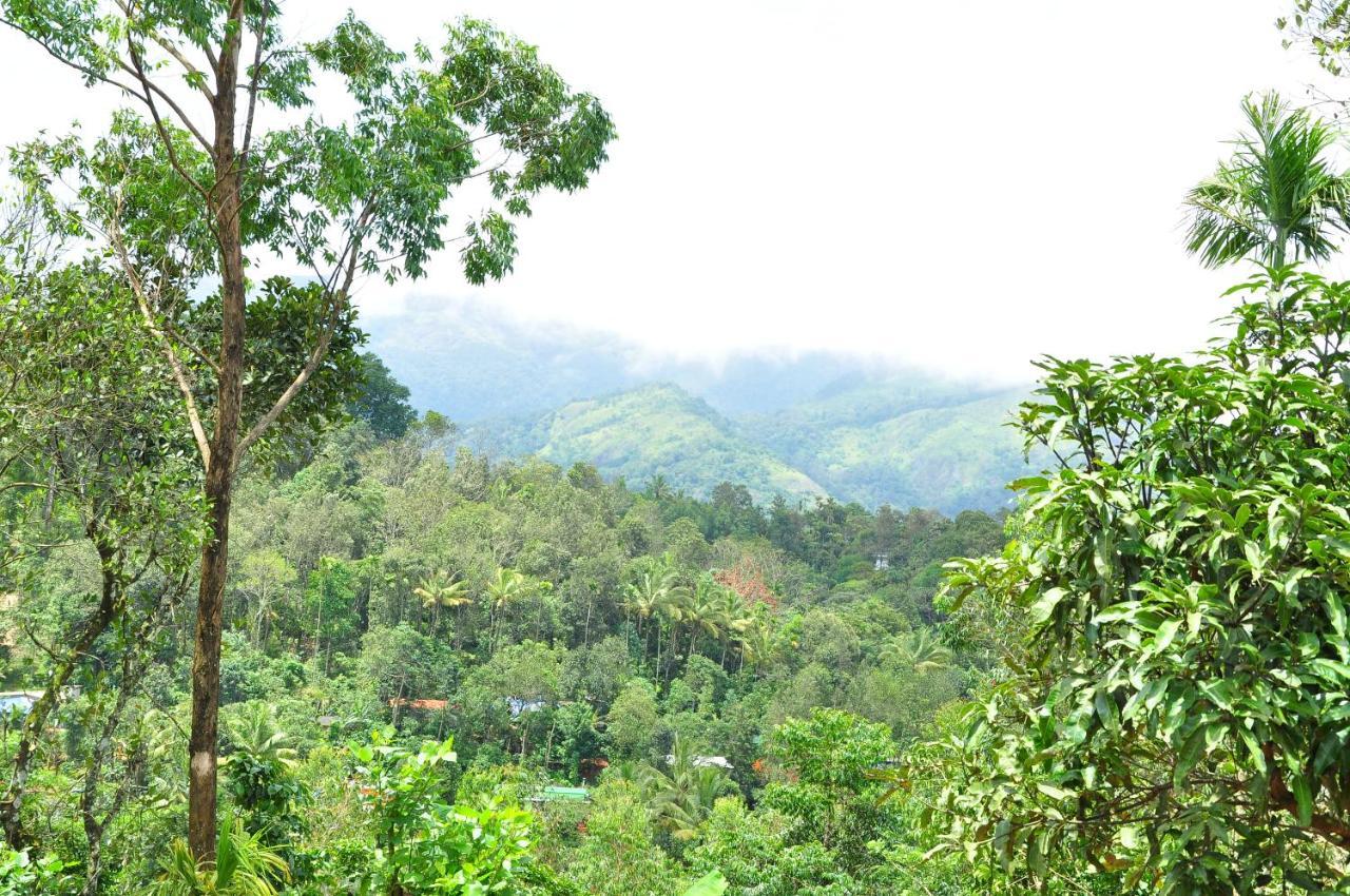 Lizmerrycasa Homestay
