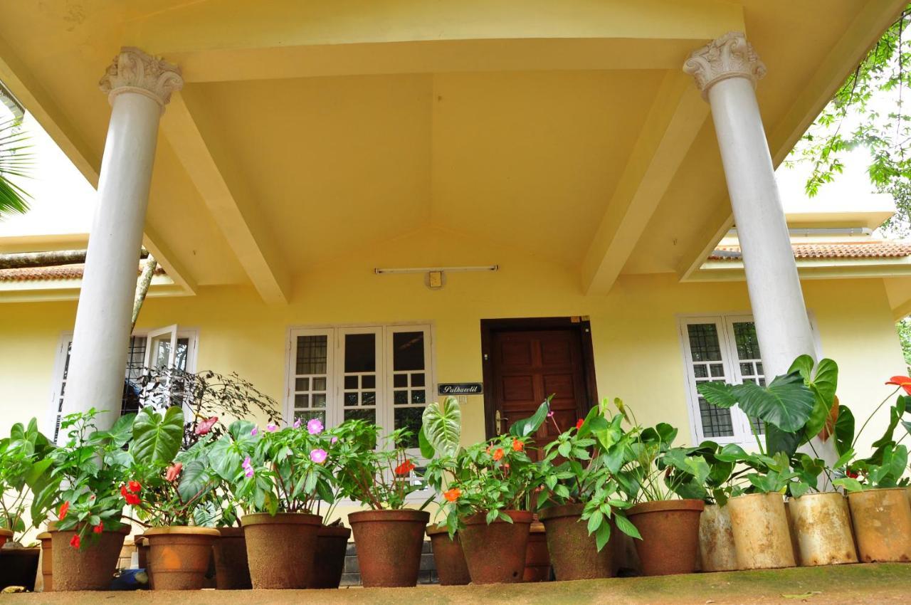 Lizmerrycasa Homestay * Munnar
