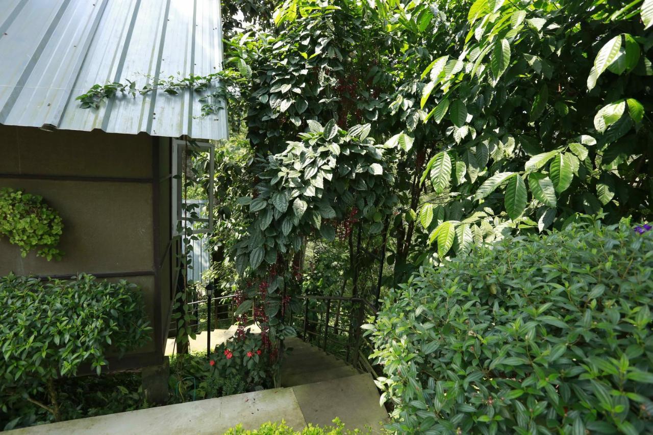 Villa Moselberg Riverside