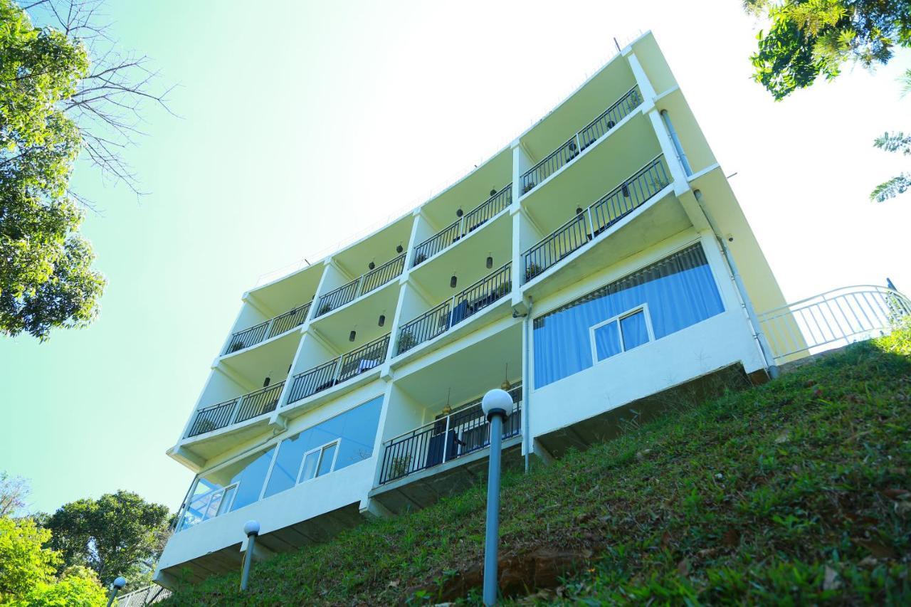 Hotel Palmtree Leaf,