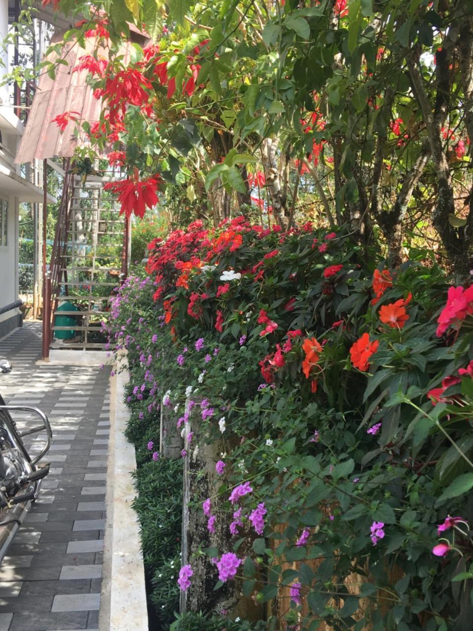 Bed & Breakfast Lizmerrycasa Homestay