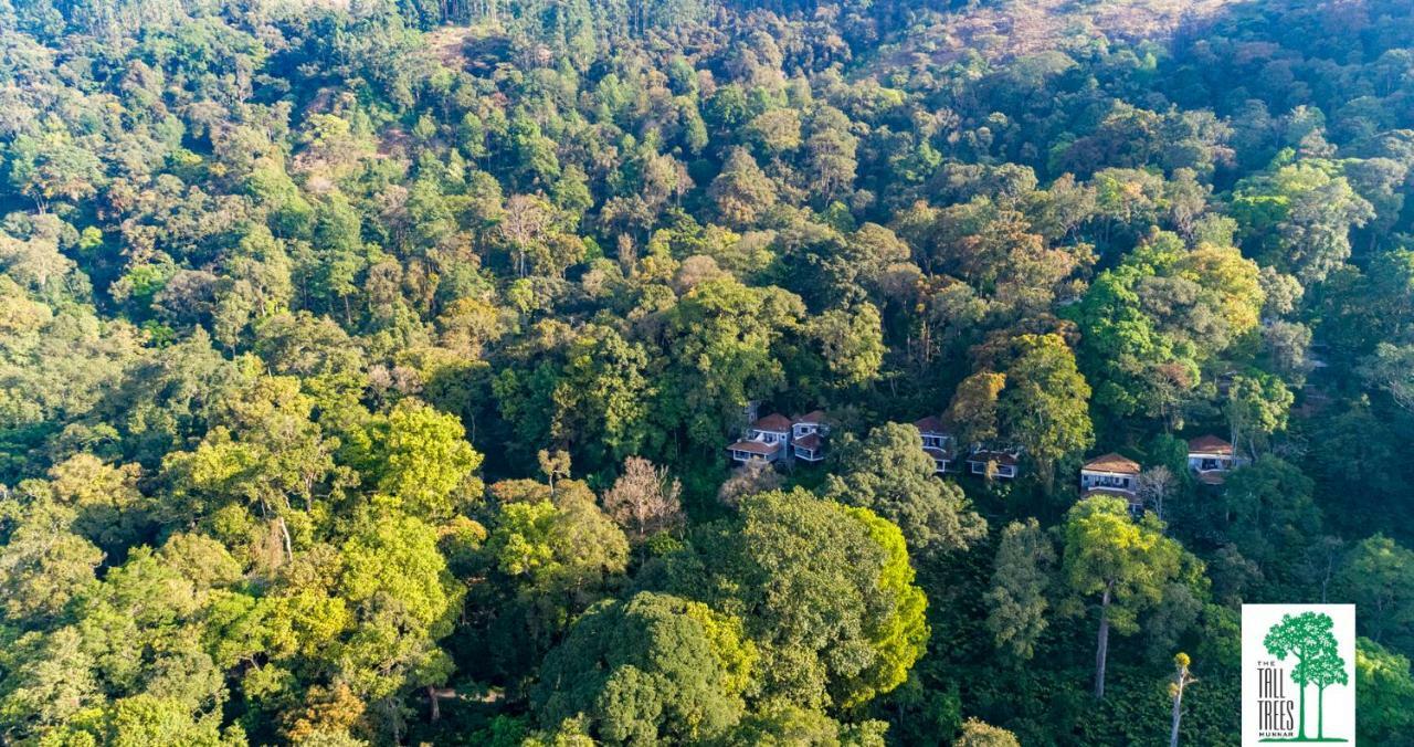 Resort The Tall Trees 4*