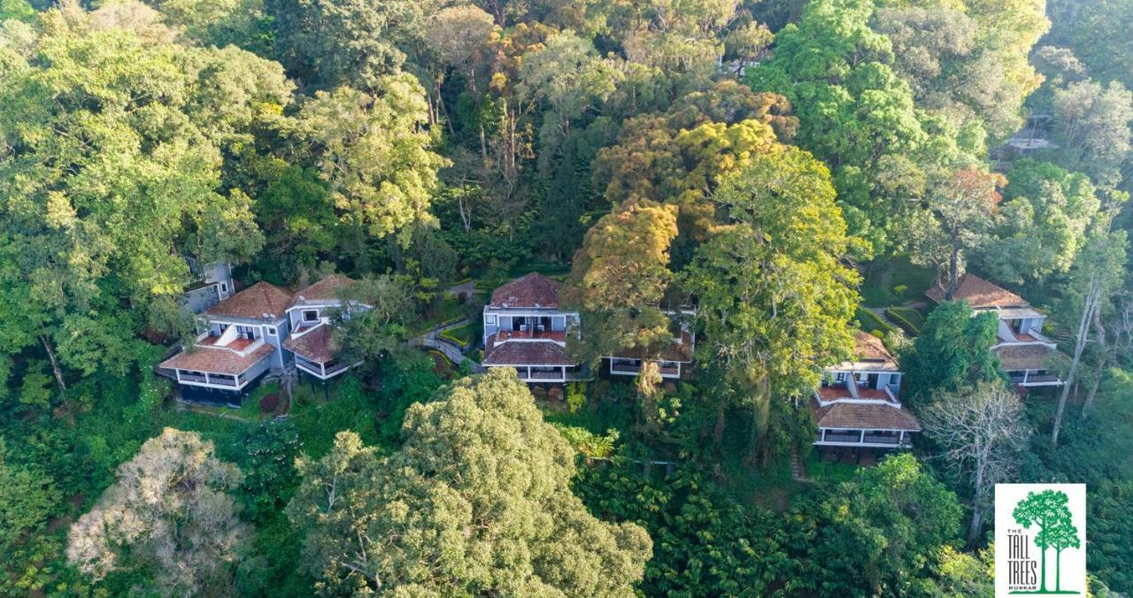 Resort The Tall Trees 4*