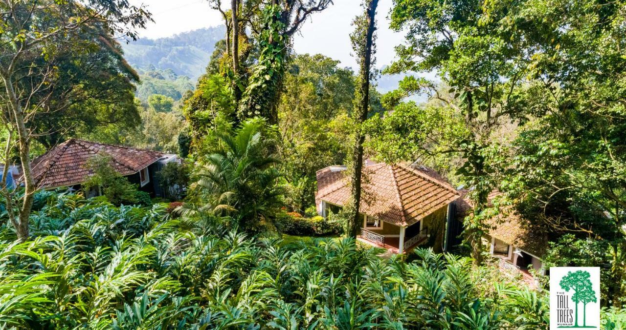The Tall Trees 4* Munnar