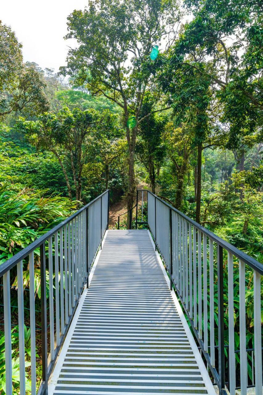 The Tall Trees Resort 4*