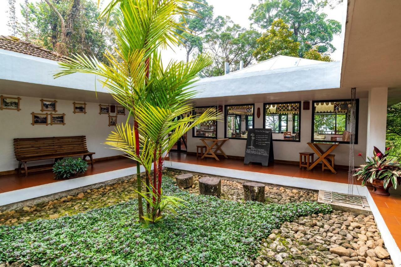Resort The Tall Trees