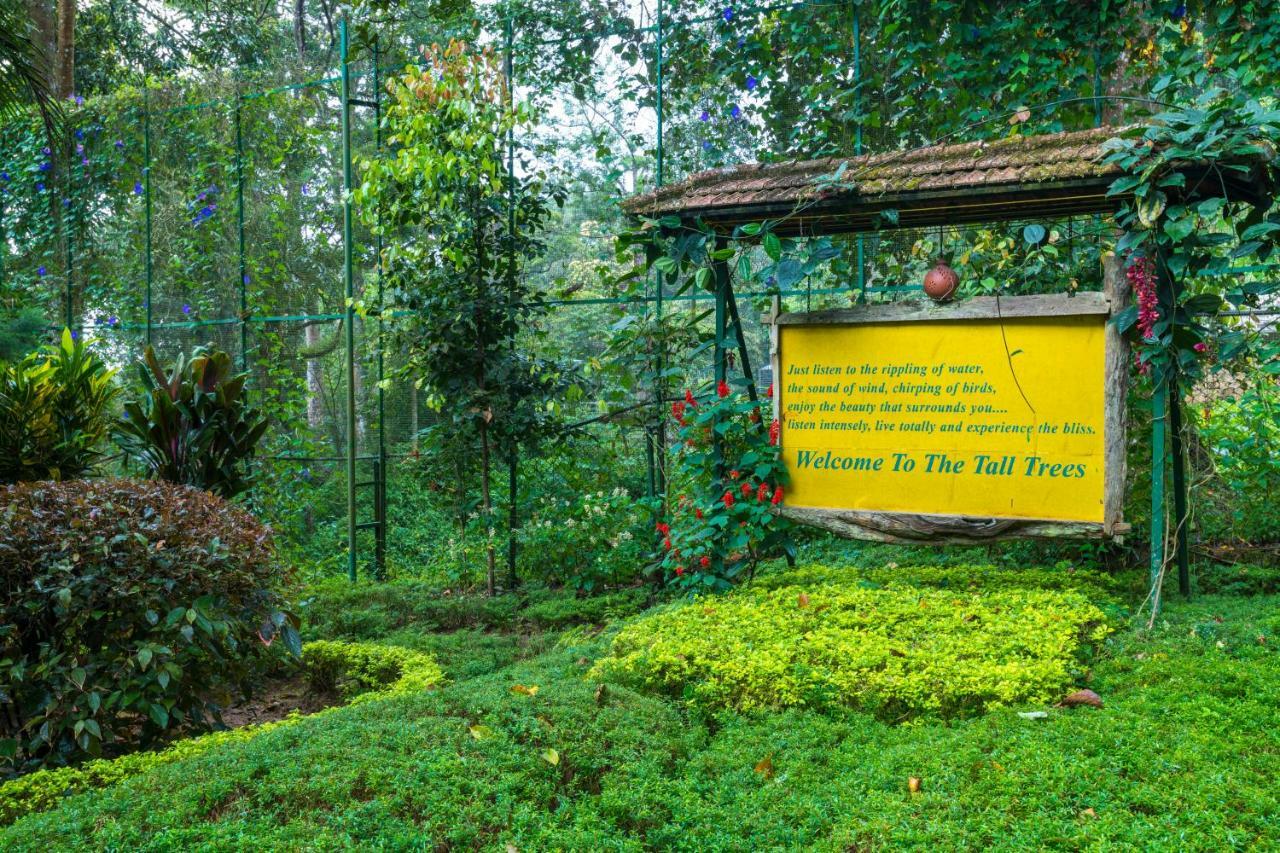 The Tall Trees Resort Munnar