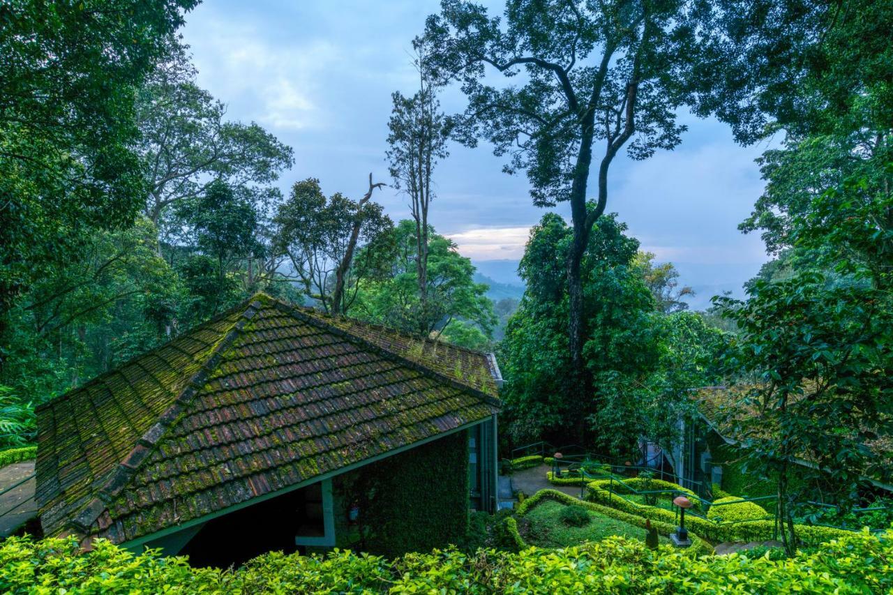 Resort The Tall Trees