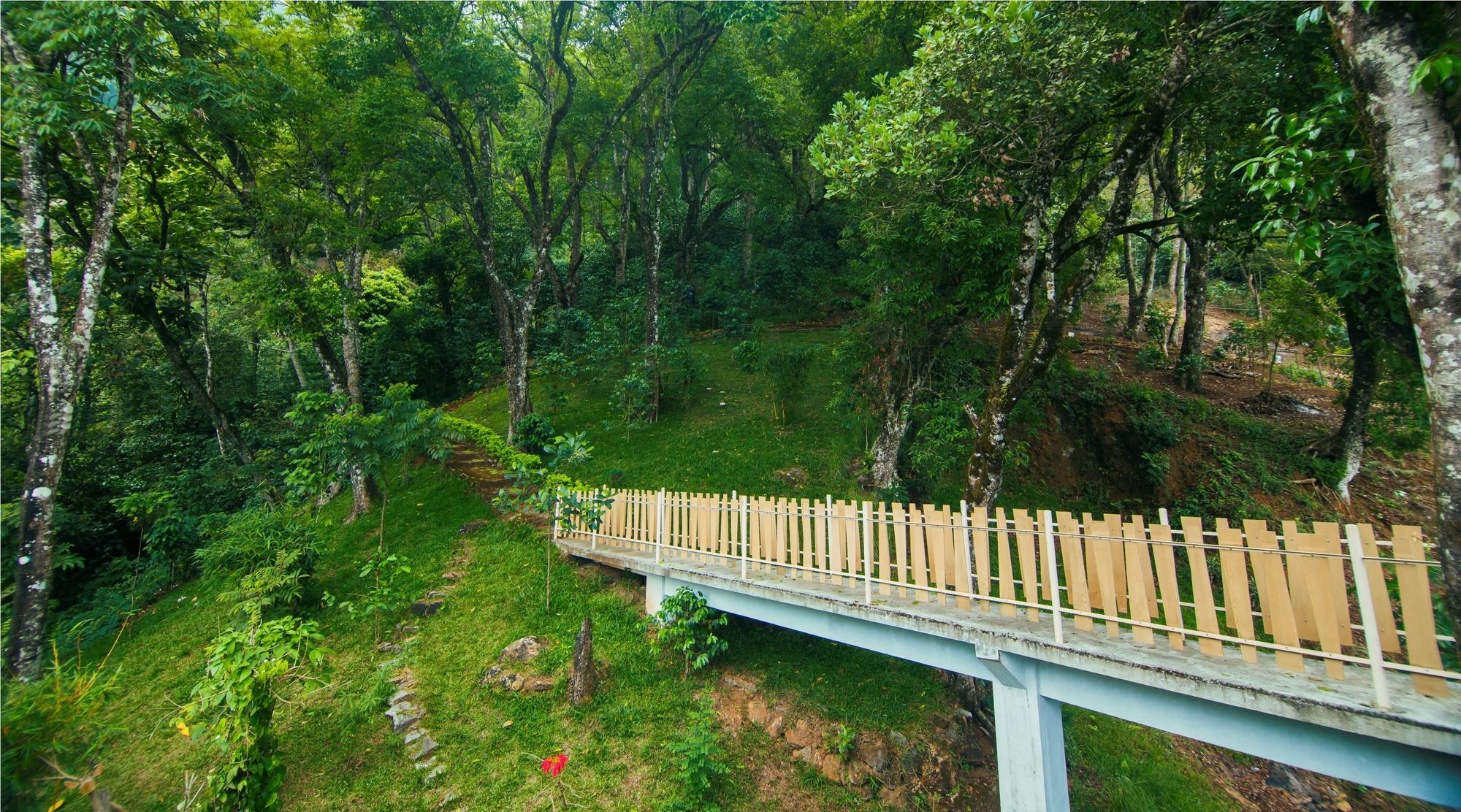 Forest Glade Hotel Munnar