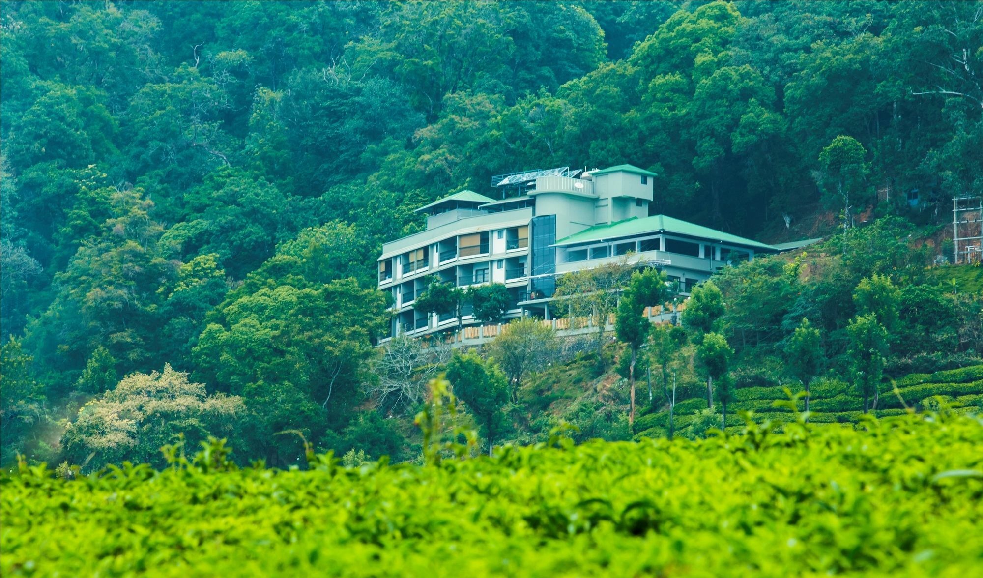 Hotel Forest Glade