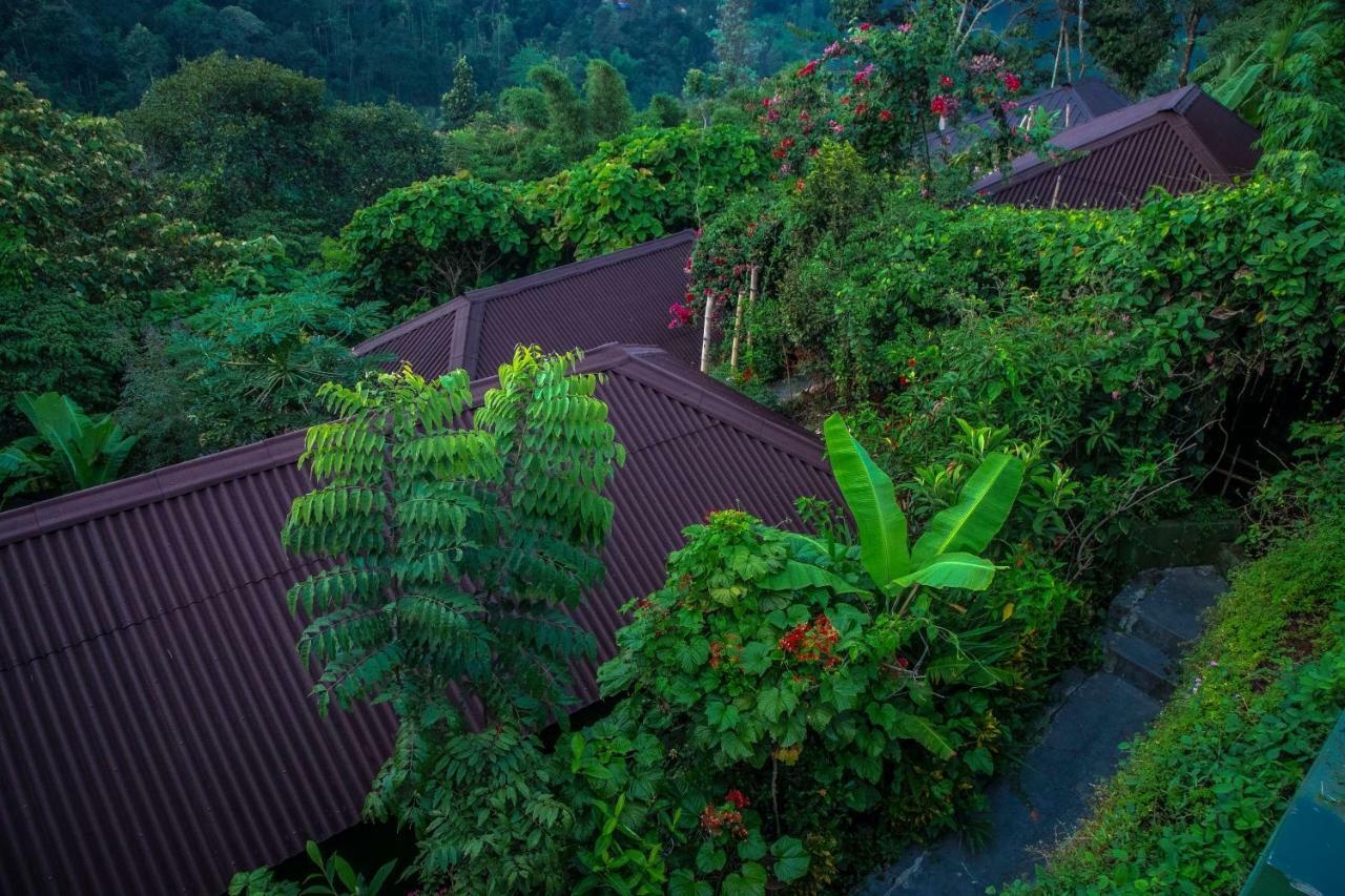 Ecotones By Eden Environs 3*