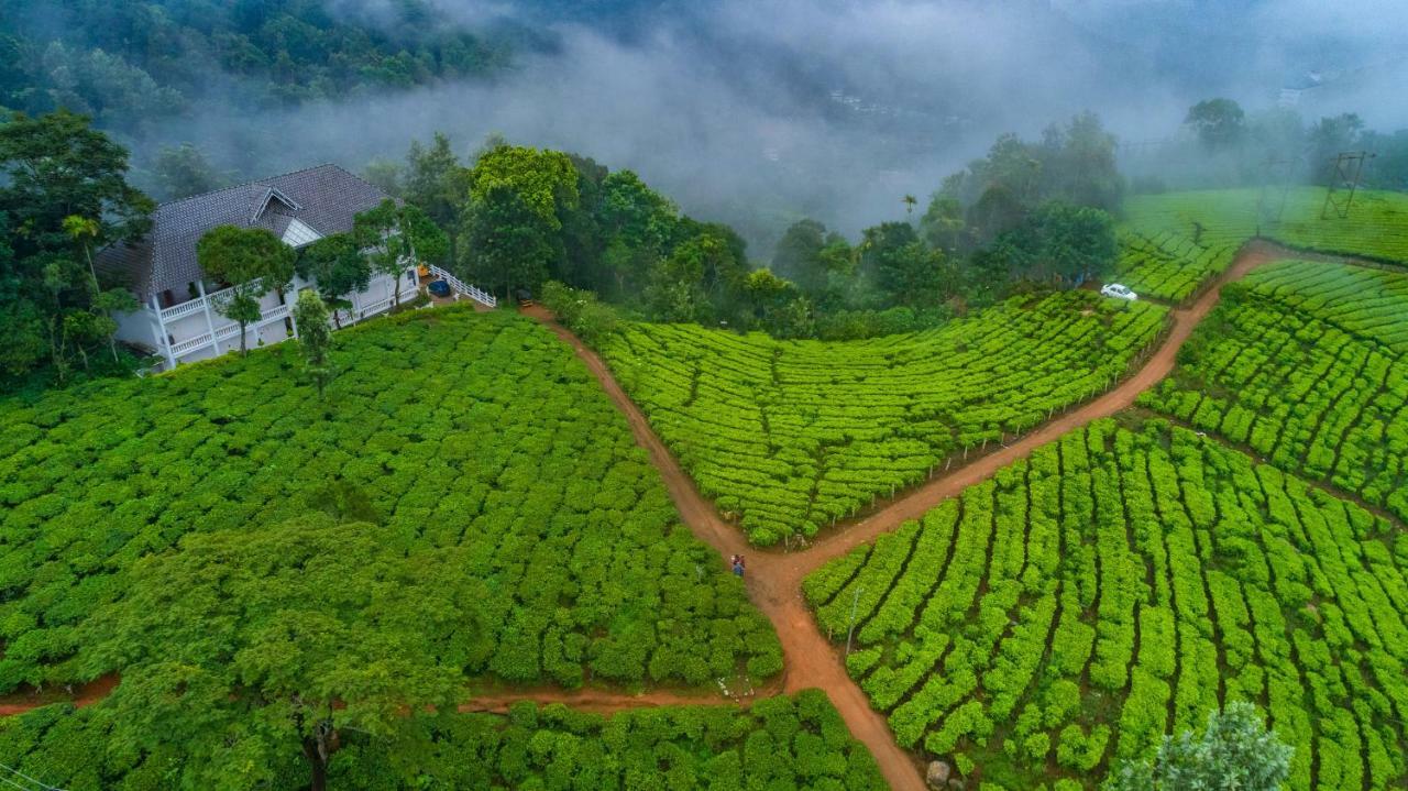 Hotel Tea Harvester 3*