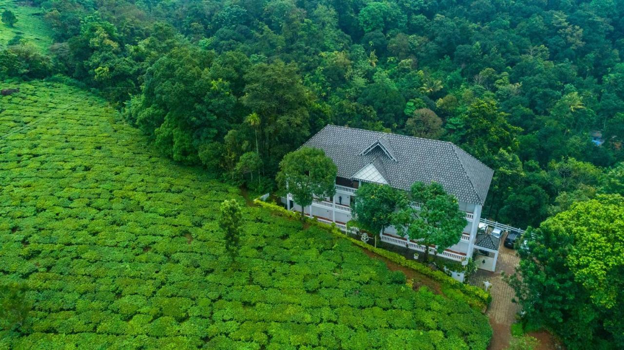Tea Harvester 3* Munnar