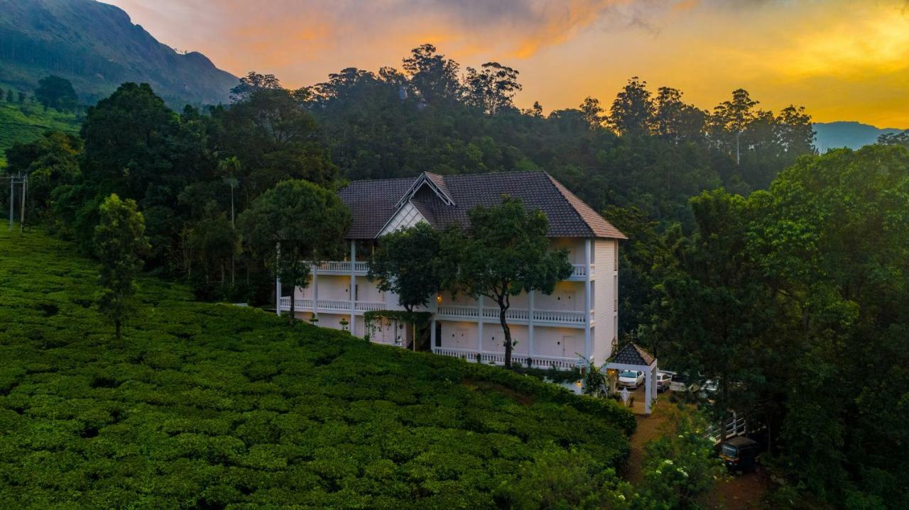 Hotel Tea Harvester