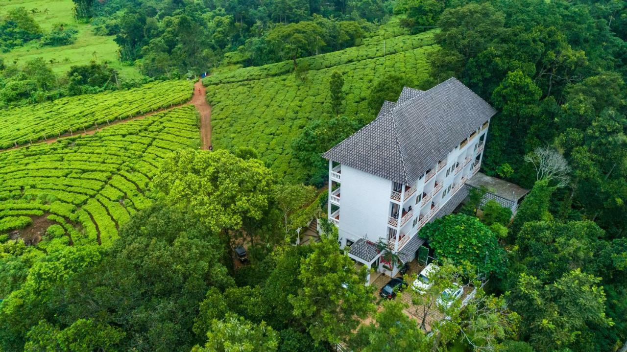 Tea Harvester
