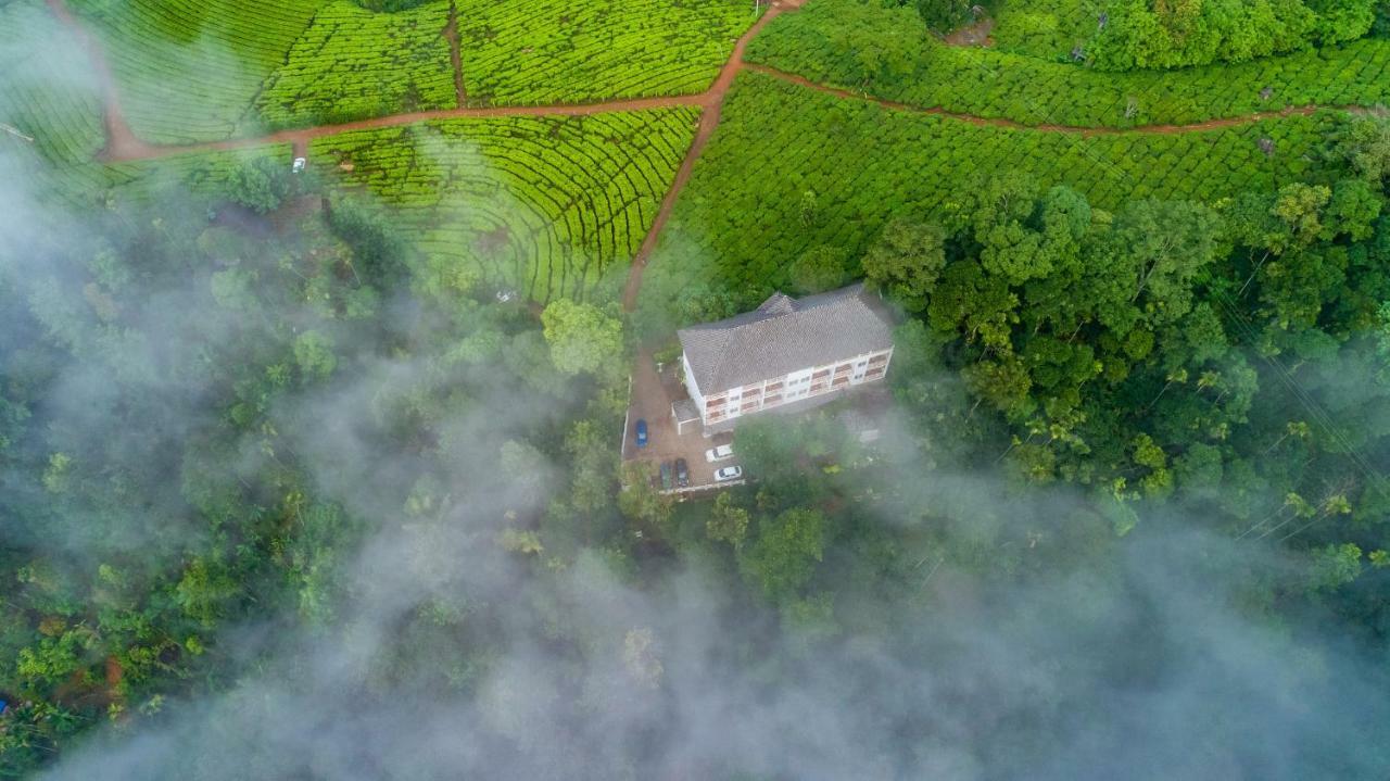 Hotel Tea Harvester
