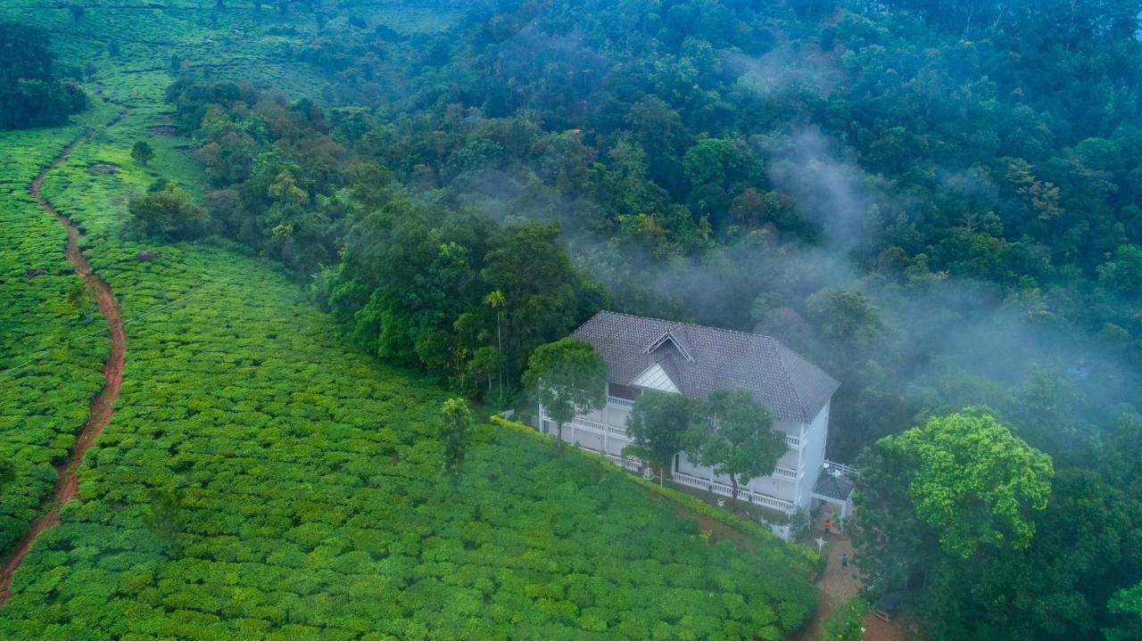 Tea Harvester Munnar
