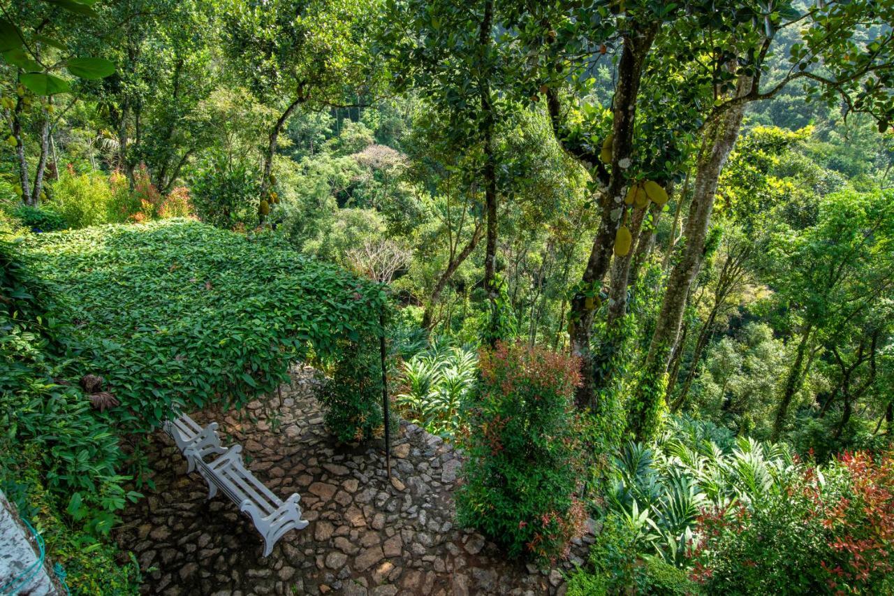 Tea Harvester Hotel 3*