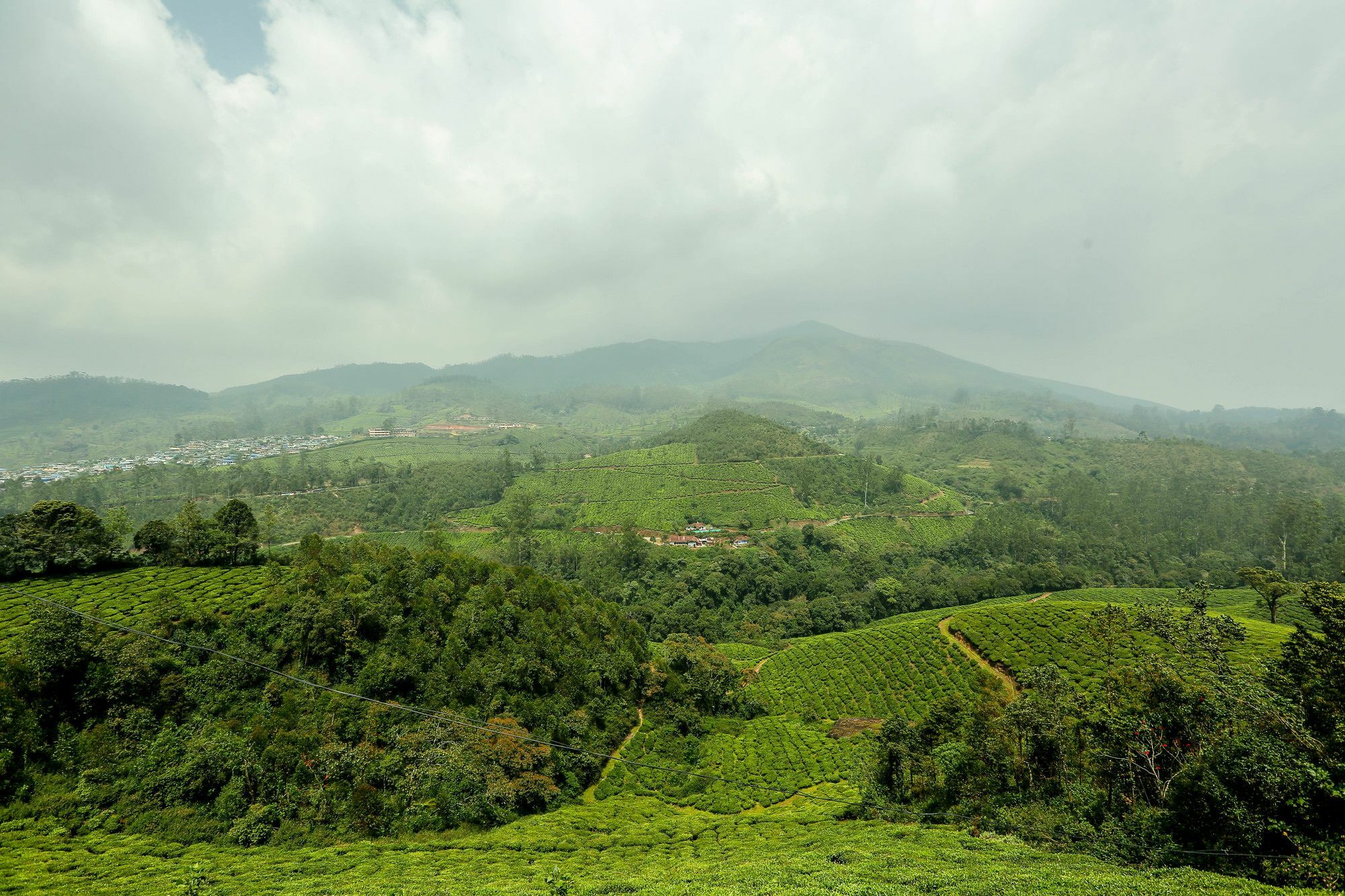 Diamond Hills Munnar