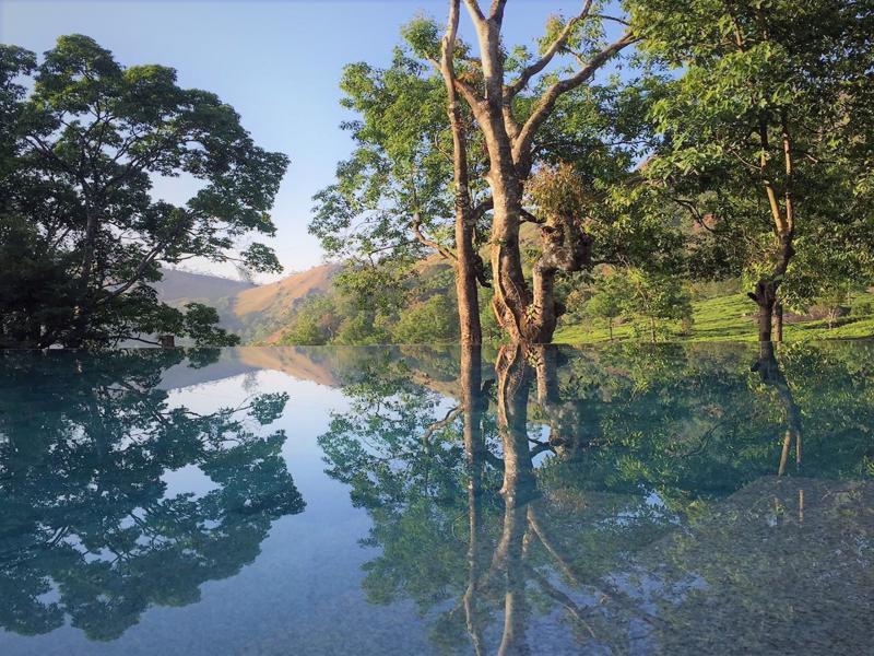 Resort Windermere Estate 4*