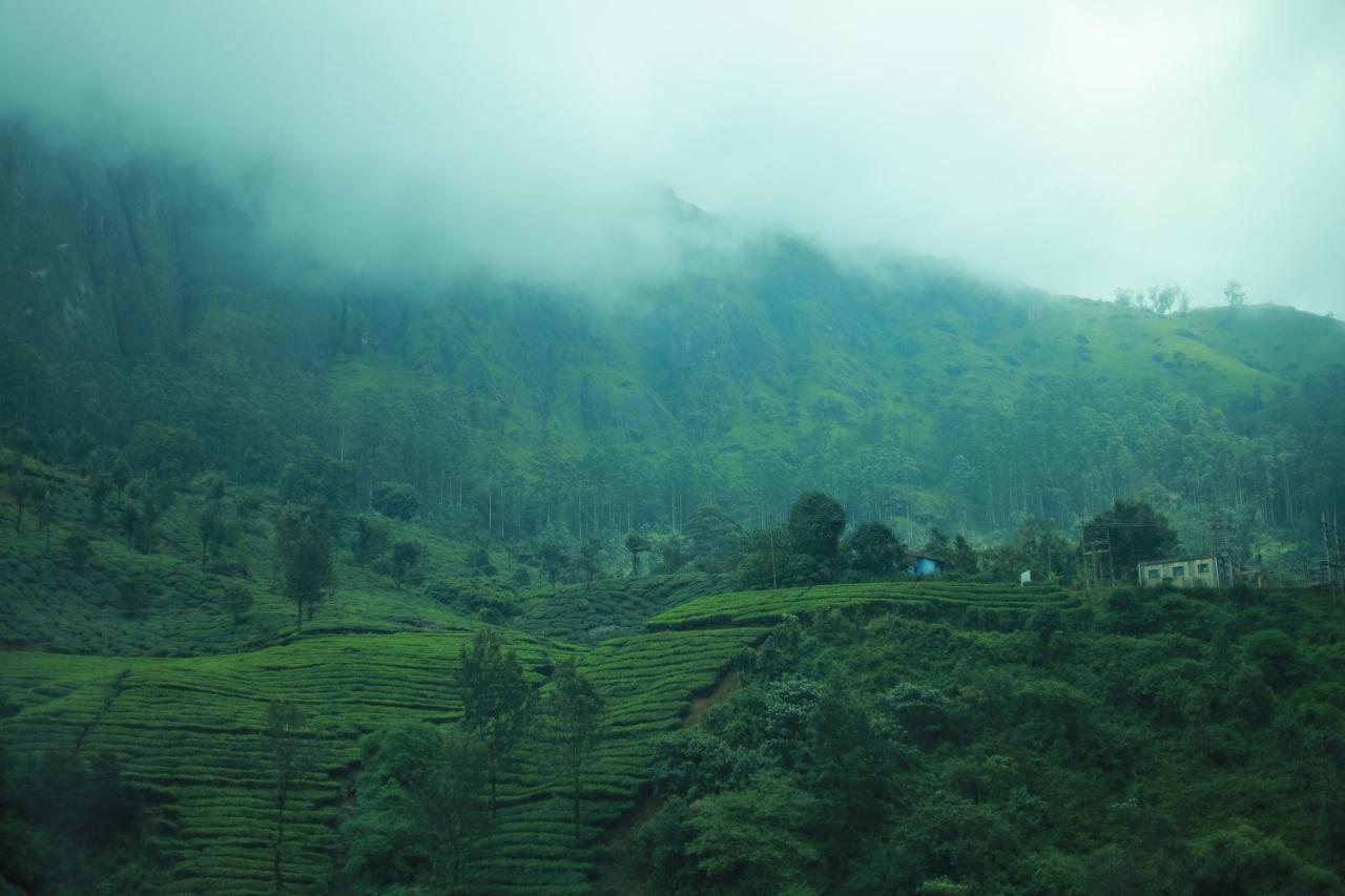 Blanket & Hotel Munnar