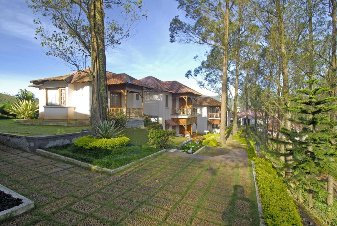 Tea County Resort 4*